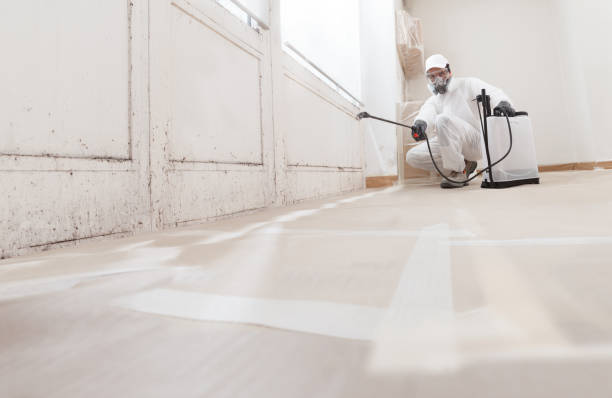 24/7 Emergency Mold Remediation experts in Boiling Springs, PA