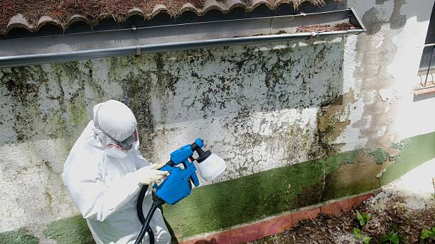 Top rated local Mold Remediation specialists in Boiling Springs, PA